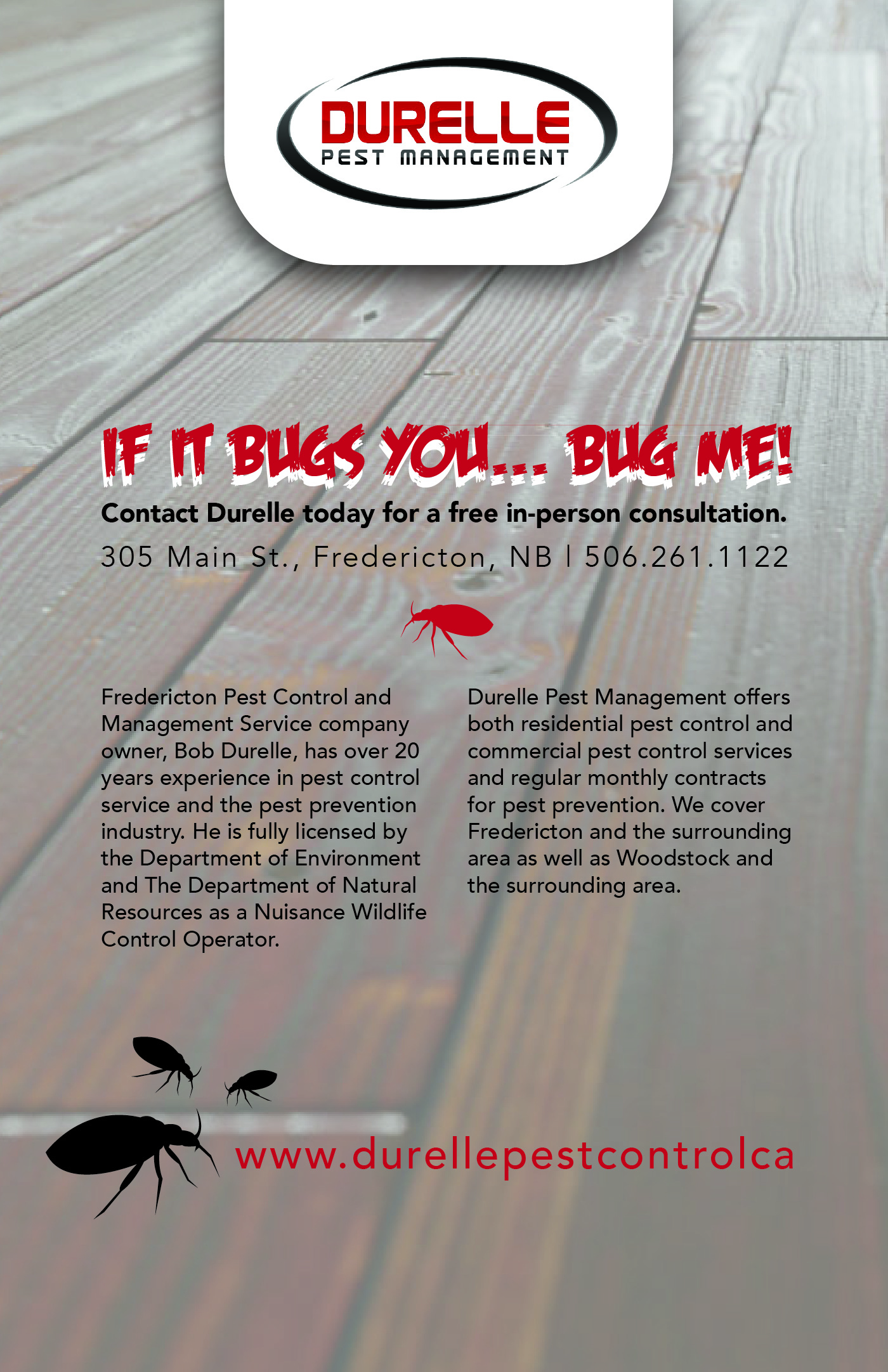 bed-bugs-2